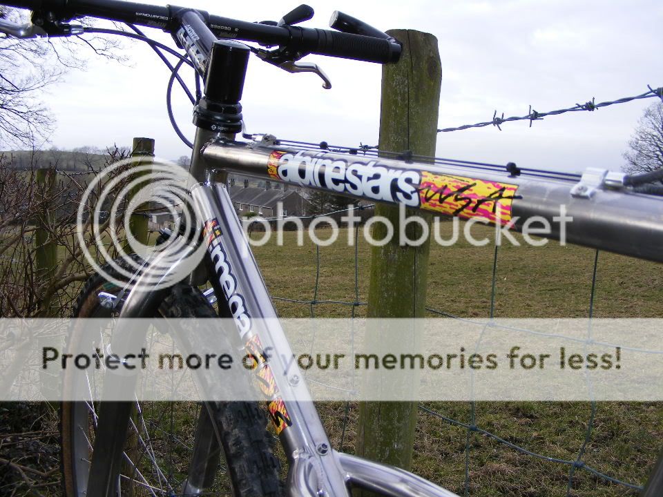 2010_0317bikes0099.jpg
