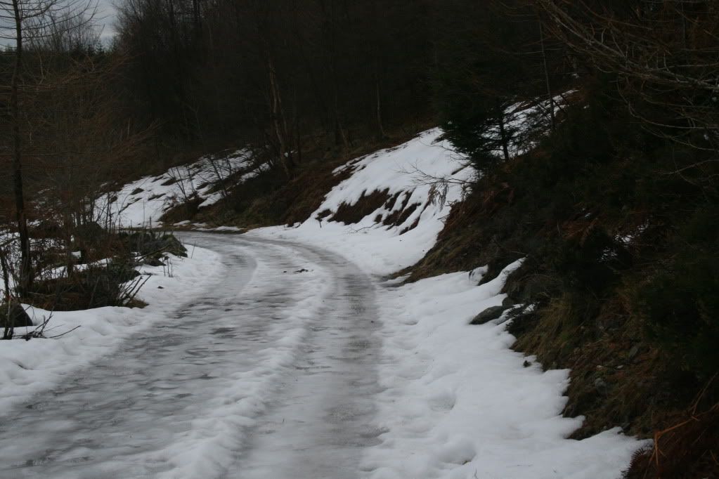 IMG_6047.jpg