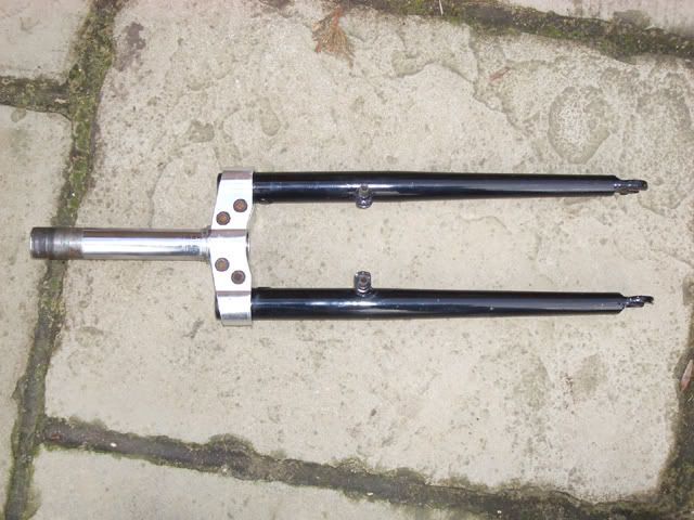 IMGP1367.jpg