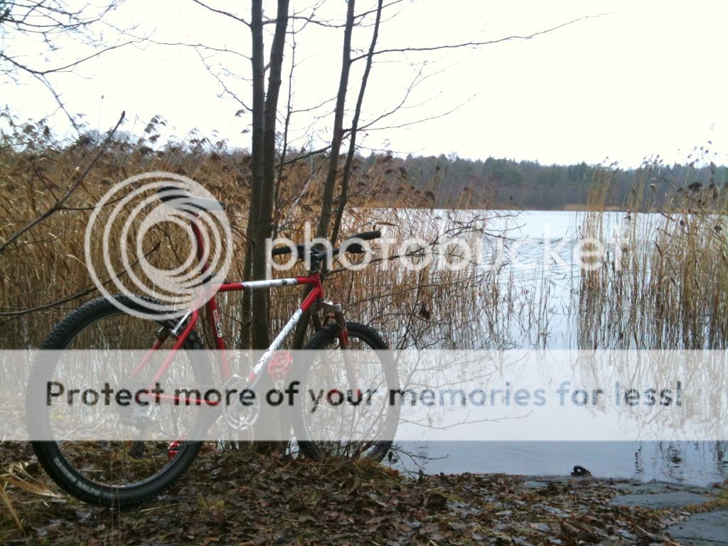 IMG_2341.jpg