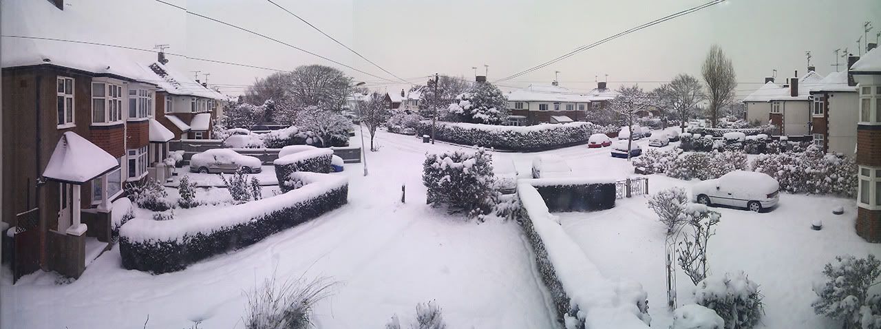 birthday_Snow_web.jpg