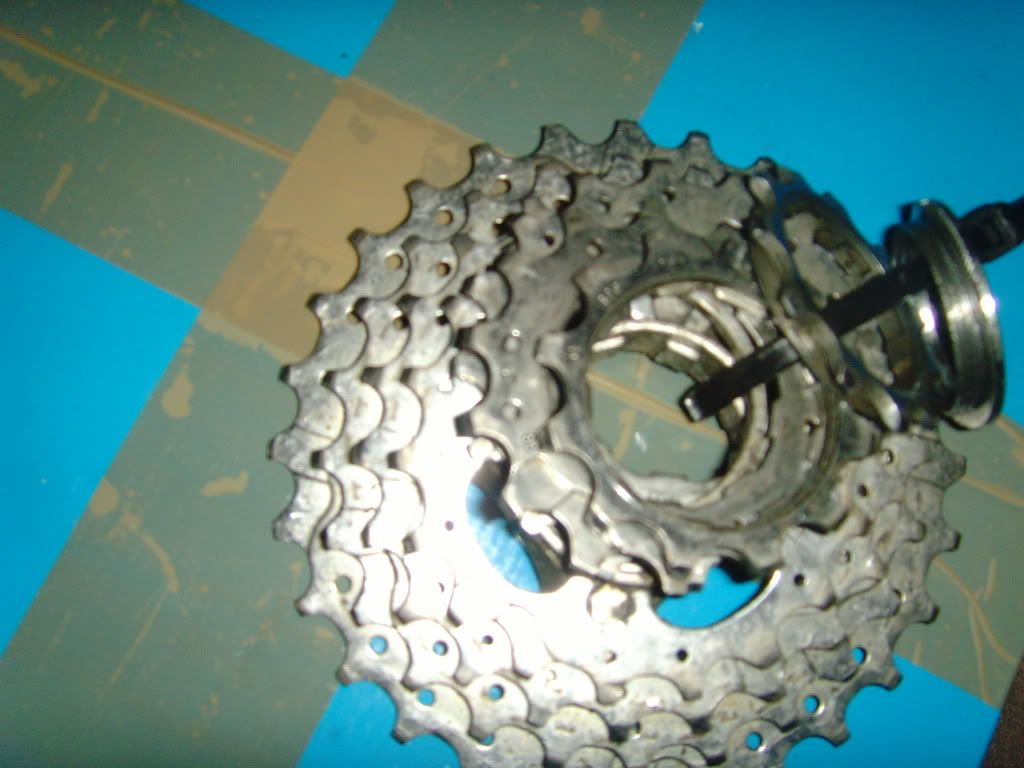 SNV34593.jpg