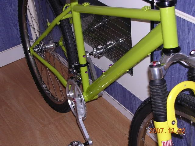 Frog005.jpg