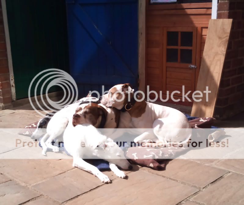 2011-04-10125735.jpg