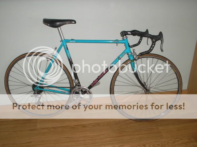 koga018.jpg