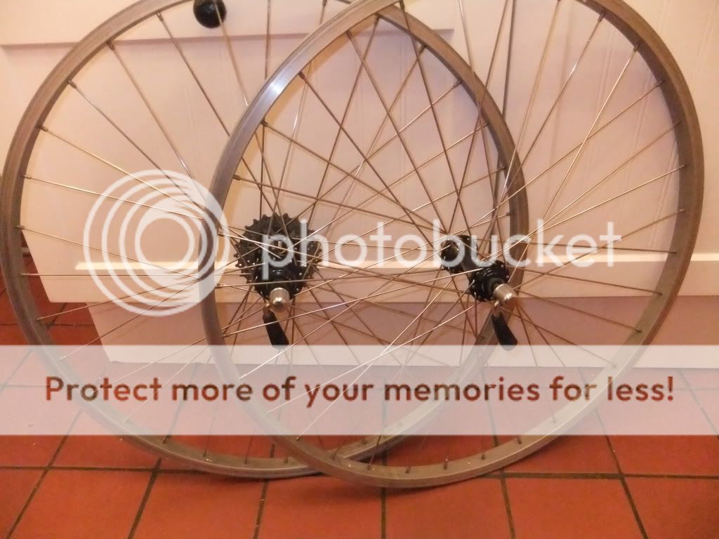 DSCF3550.jpg
