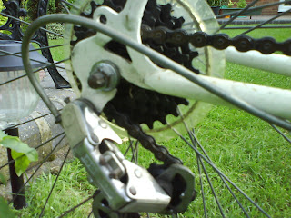 DSC00348.JPG