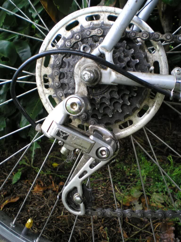 P1010003_zpse2aca9b3.jpg