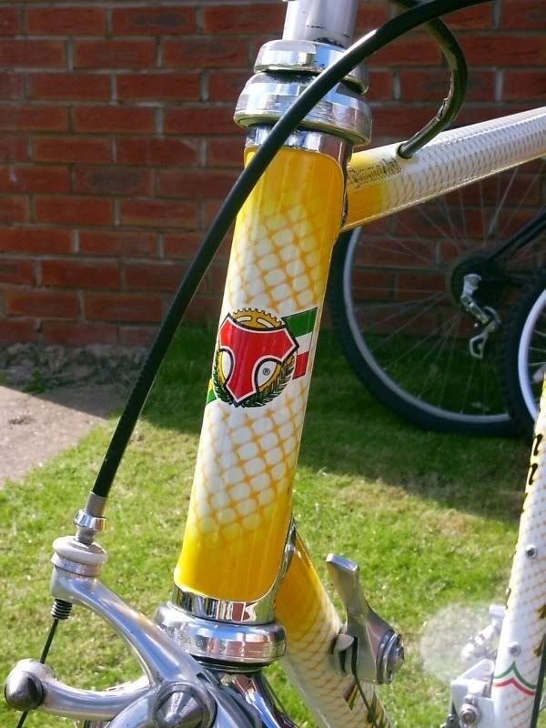 Tommasini011.jpg