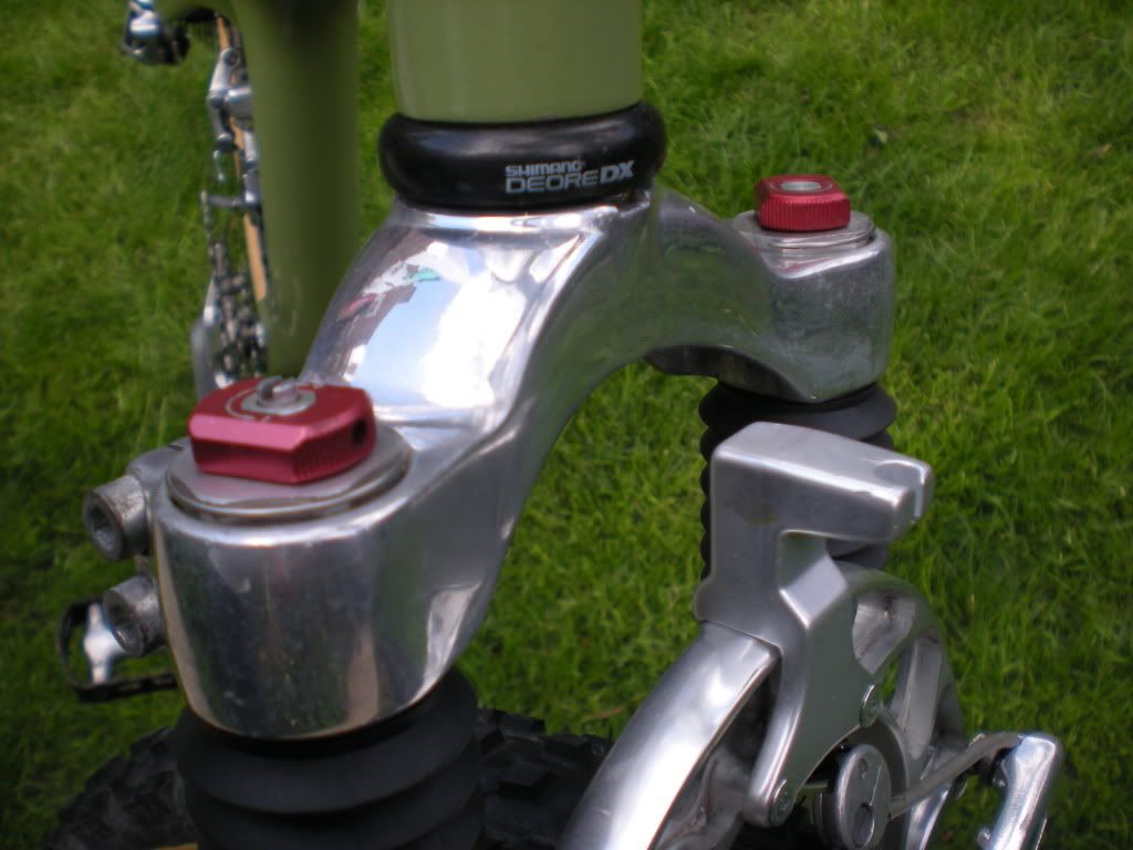 DSCN1313.jpg