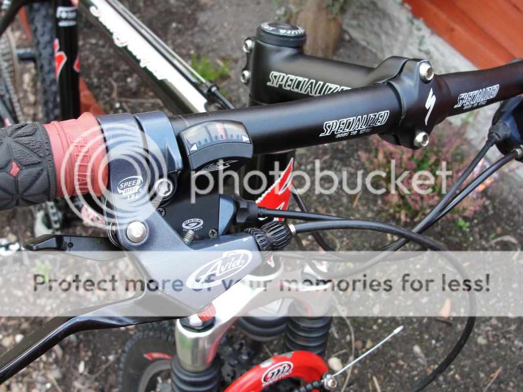 stumpy004.jpg