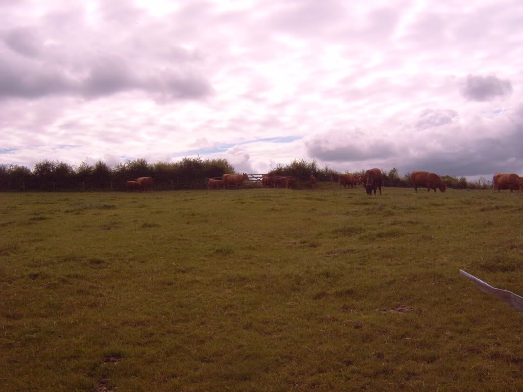 IMG00414.jpg