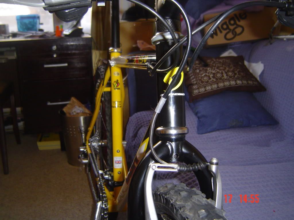 DSC01764.jpg