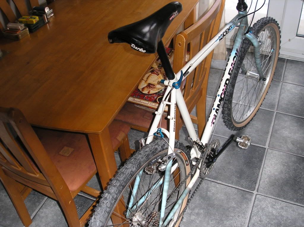 Diamondback008.jpg