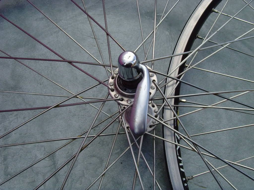 SNV36441.jpg