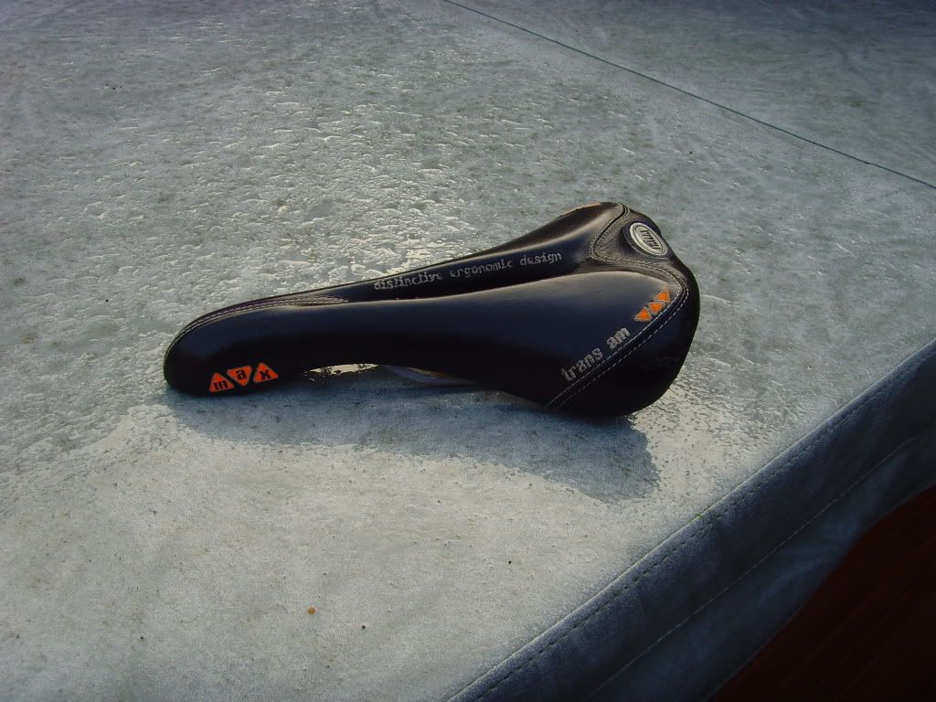 SNV36312.jpg