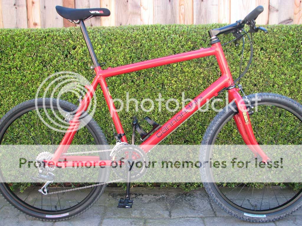 IMG_3449s_zps882b4673.jpg