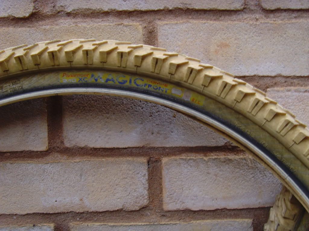 SNV35620.jpg