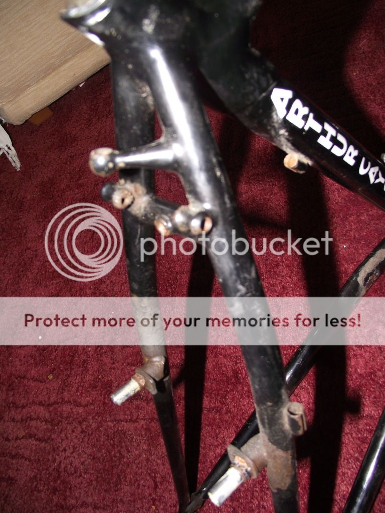 DSCF3577.jpg