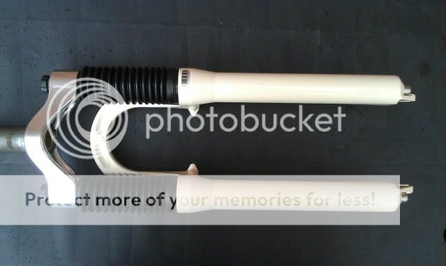 IMAG0462.jpg