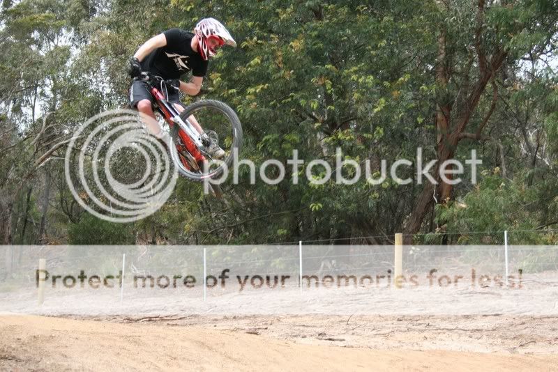 whip.jpg