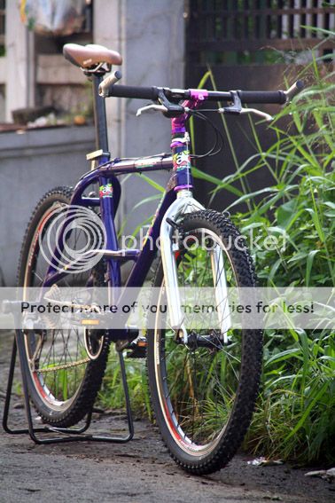 almega1_539-1.jpg