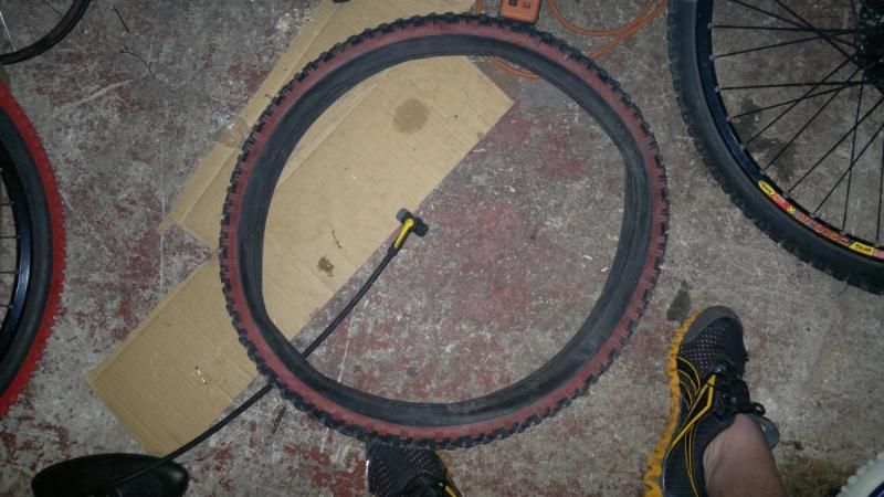 2012-07-31-477.jpg