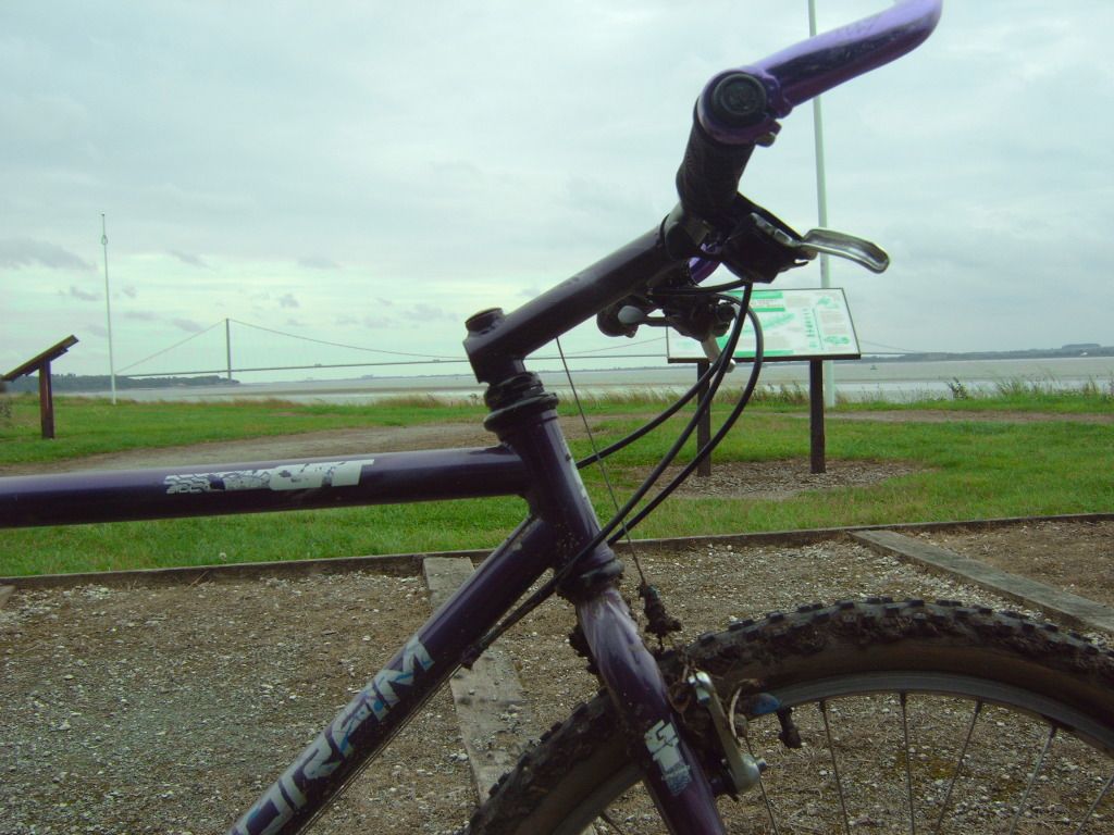 IMG00478.jpg