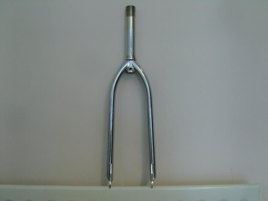 SNC10109.jpg