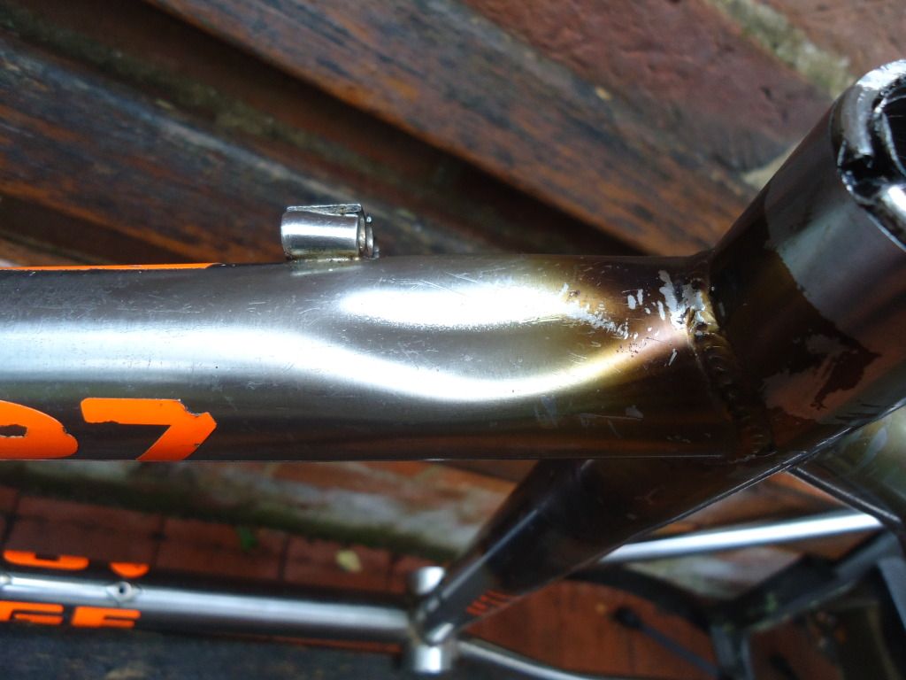 DSC03432.jpg