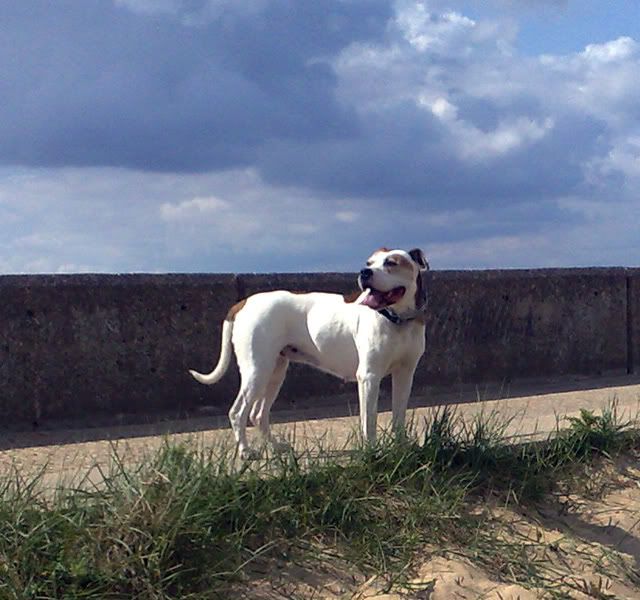 12052010896.jpg