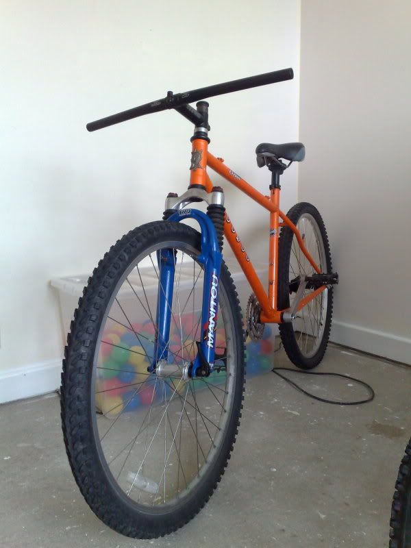 12042010768.jpg