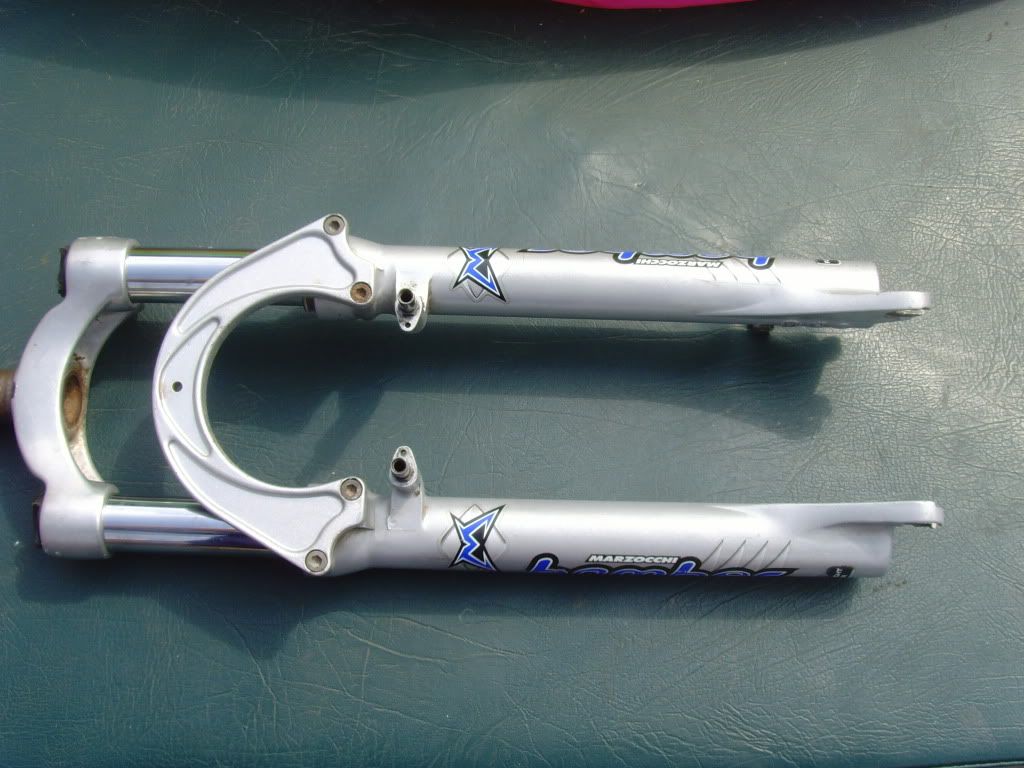 SNV34428.jpg