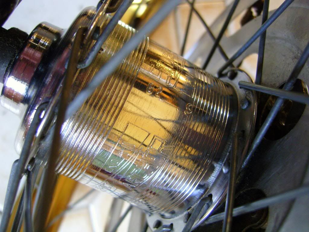 SNC13987.jpg