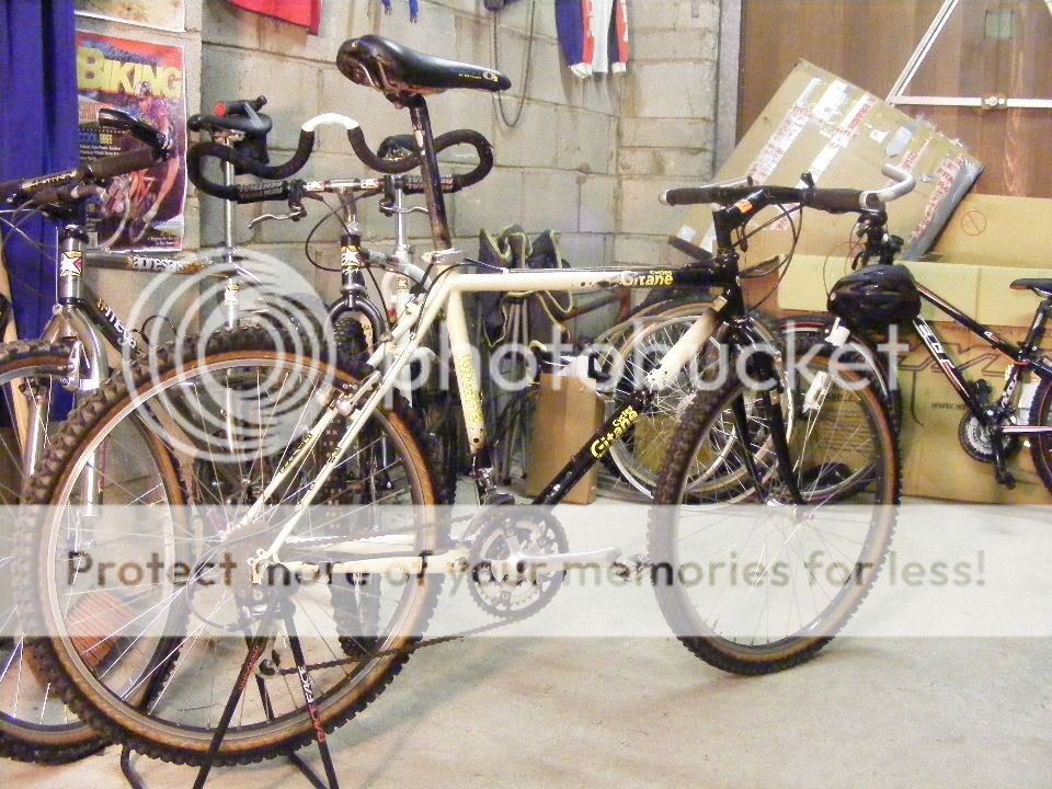 2011_0110gitane0001.jpg