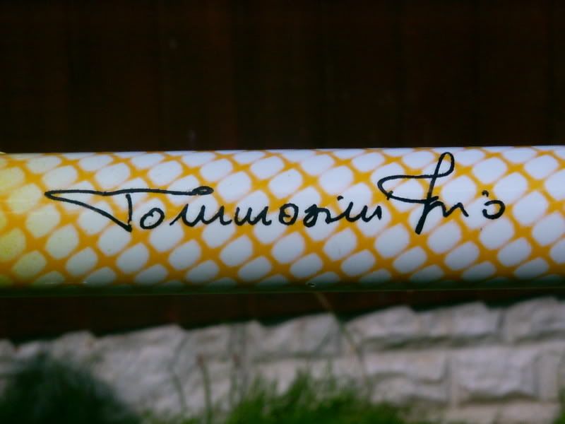 Tommasini013.jpg