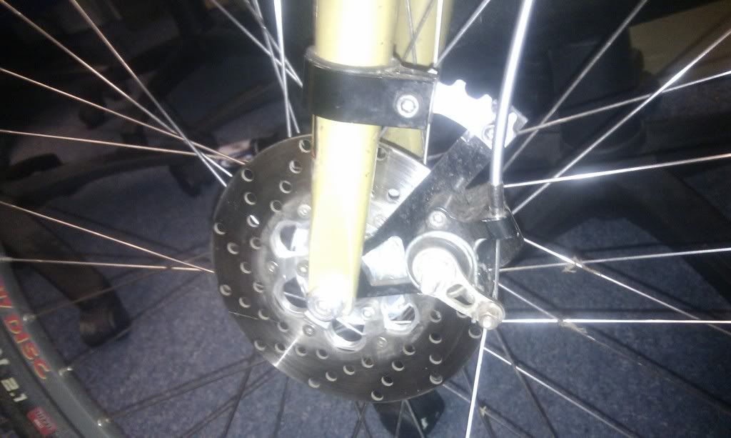 IMAG0245.jpg