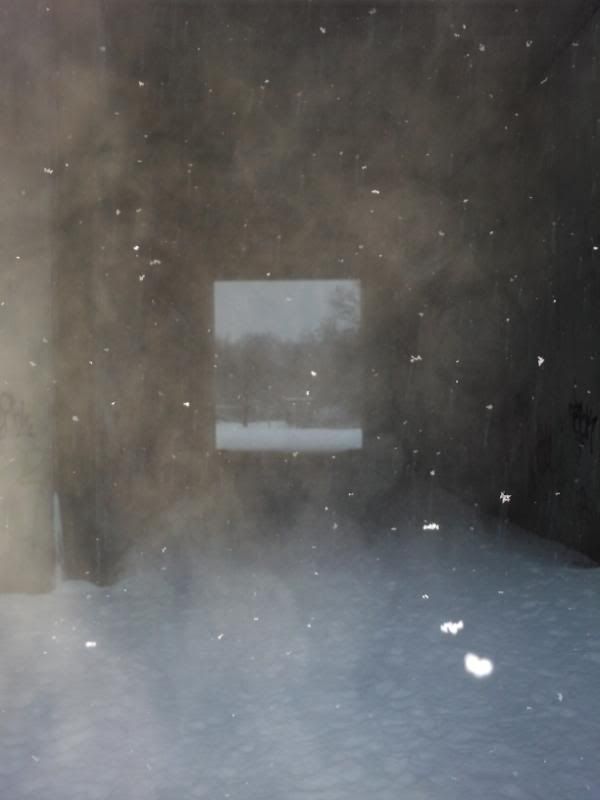 trailsinsnow2010005.jpg