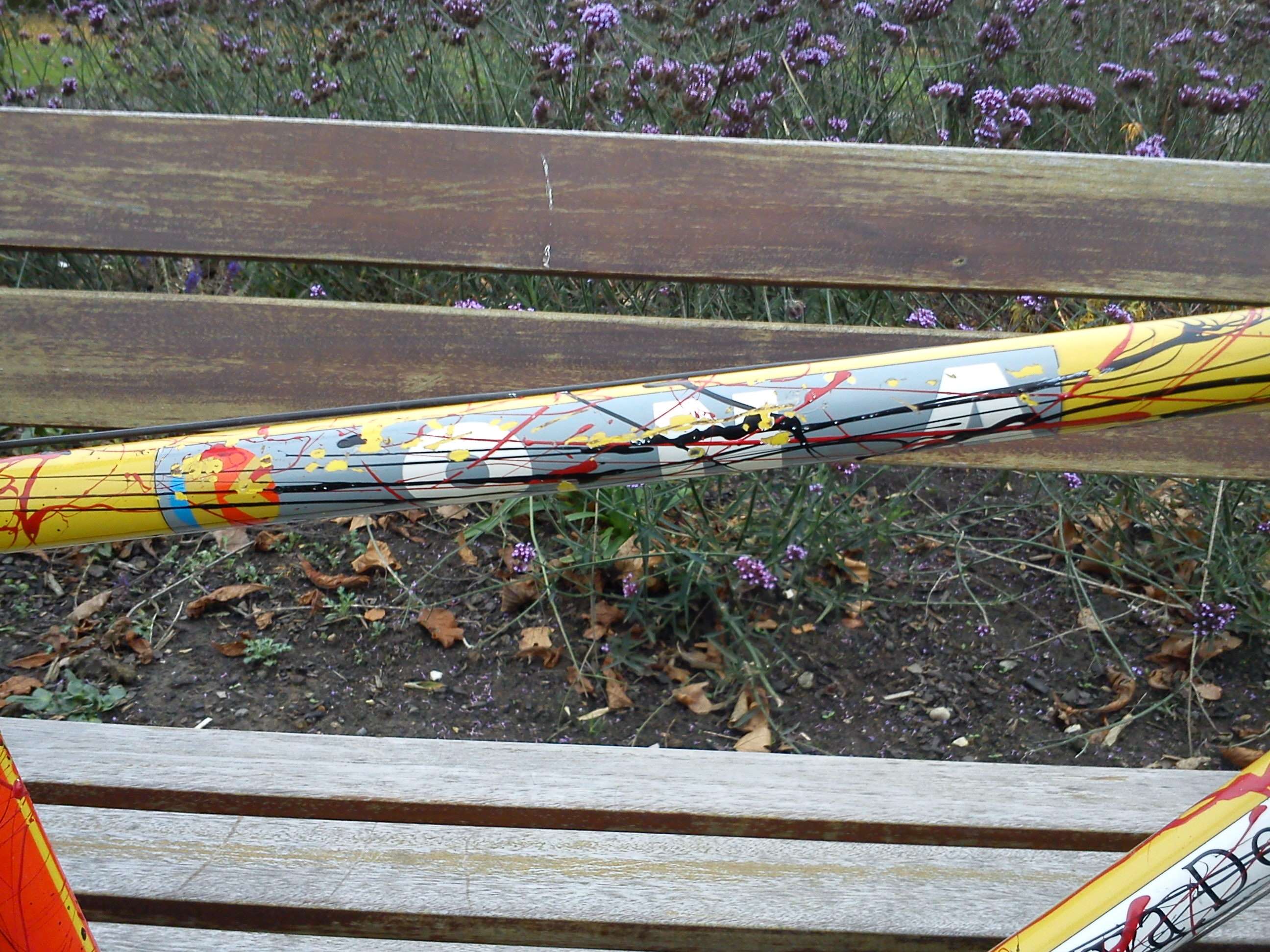 dsc00104rs.jpg