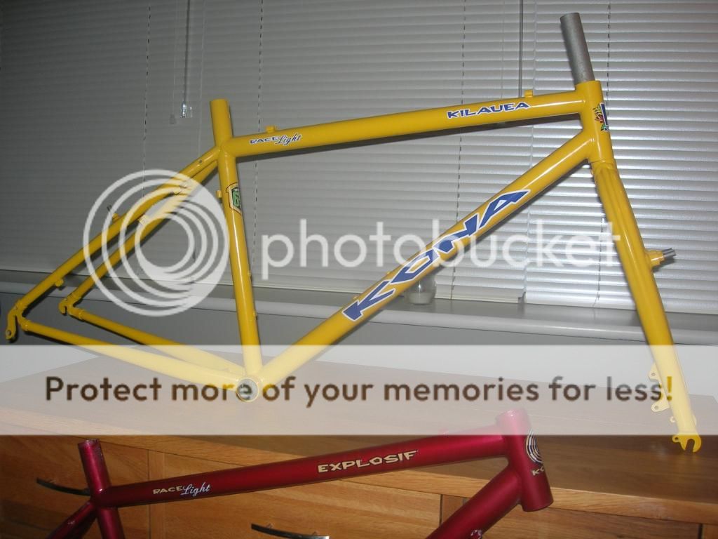 DSCN1970.jpg
