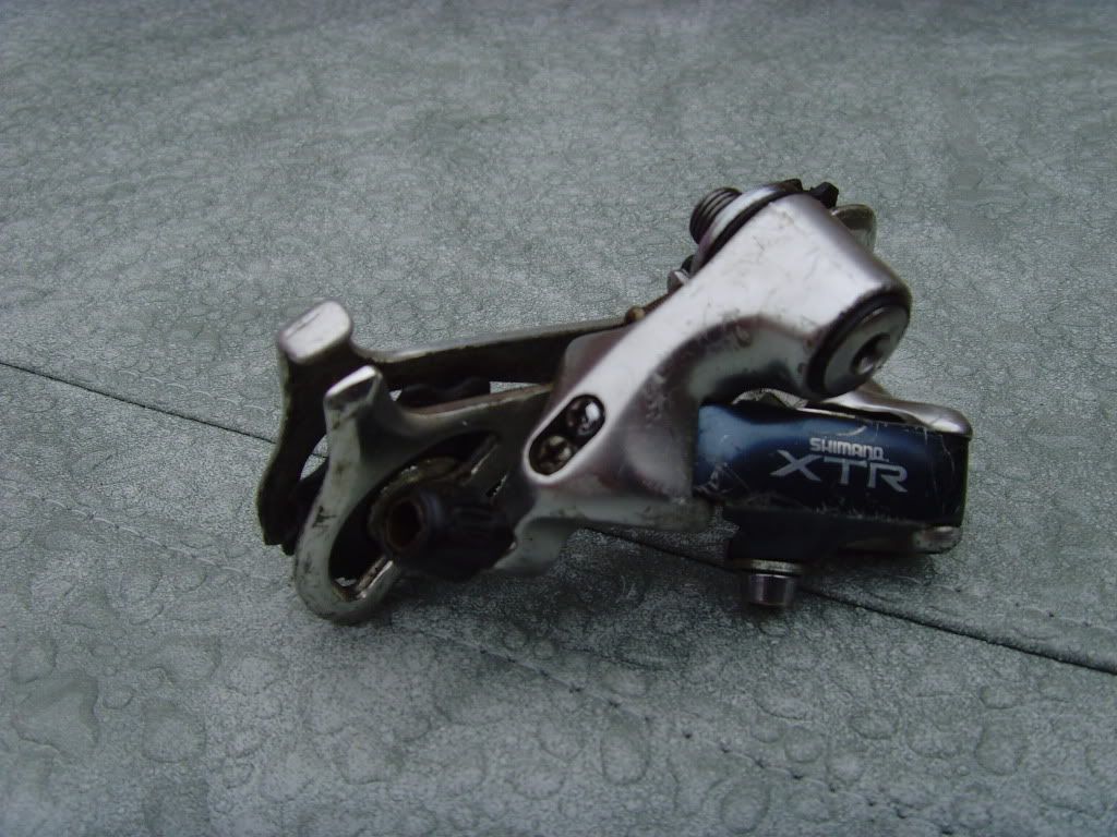 SNV35415.jpg
