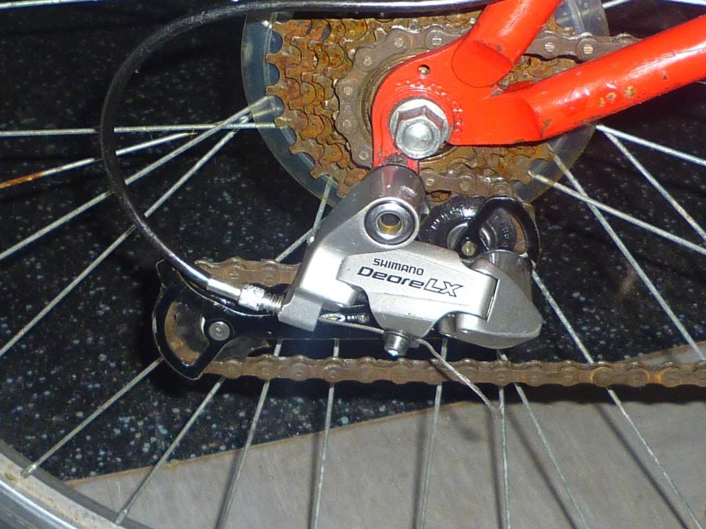P1000911_zps8d94fca5.jpg