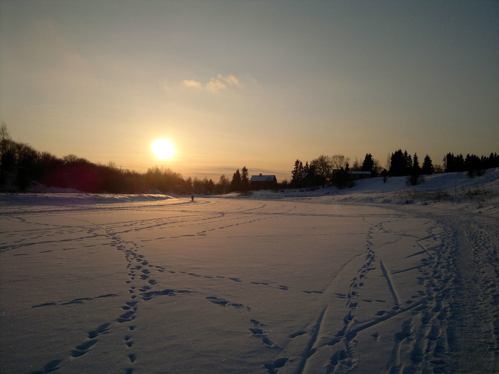 5471373299_00a9037930_b.jpg