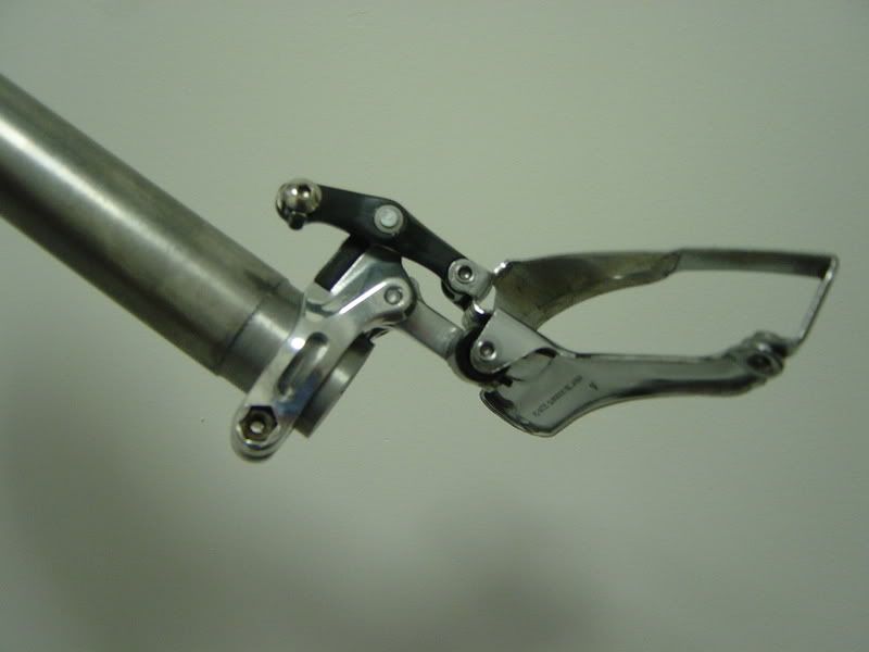 DSC03541.jpg