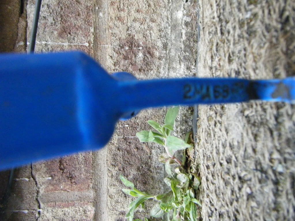 dscf3057.jpg