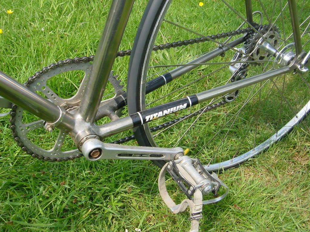 speedwell006.jpg