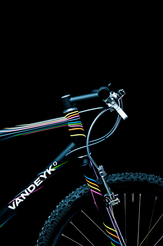 vandeyk_03.jpg