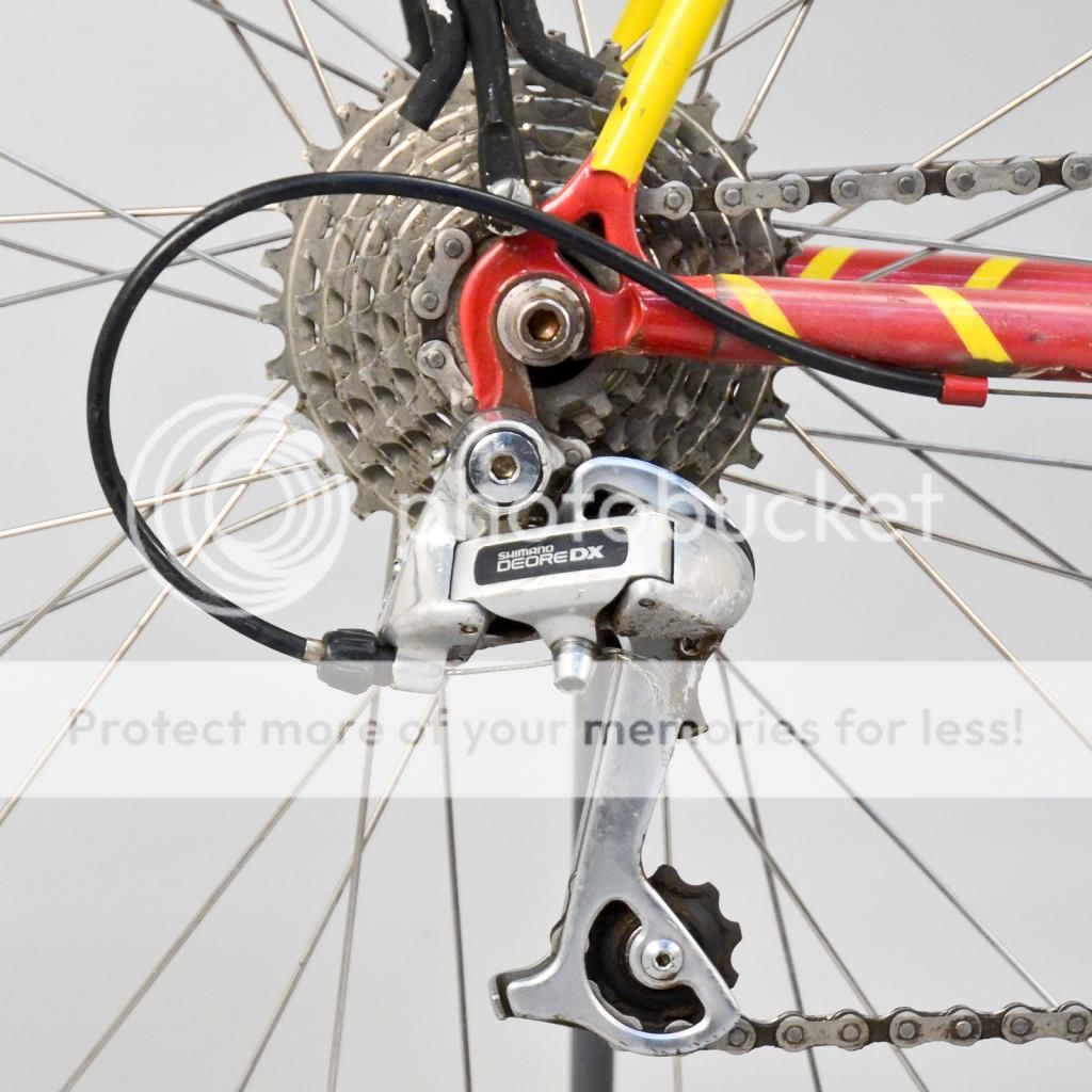 vtgsalsamtb-4.jpg