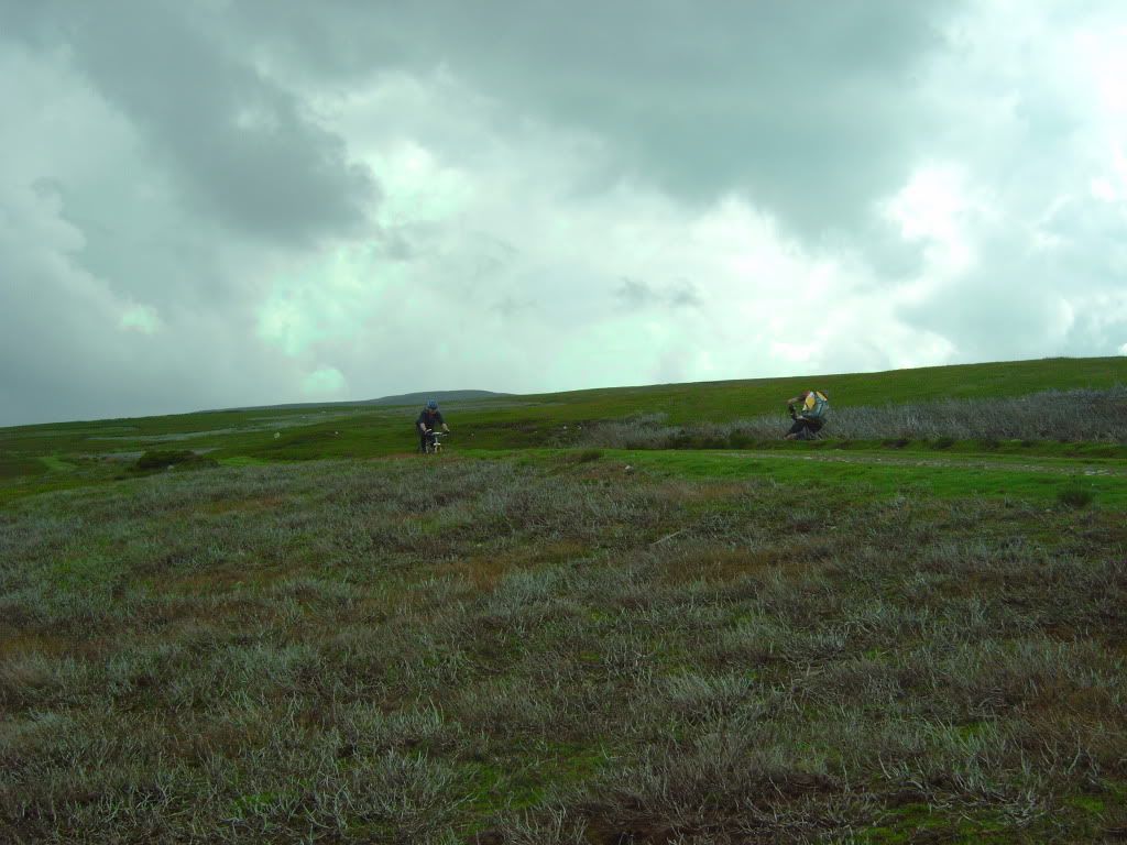 IMG00354.jpg