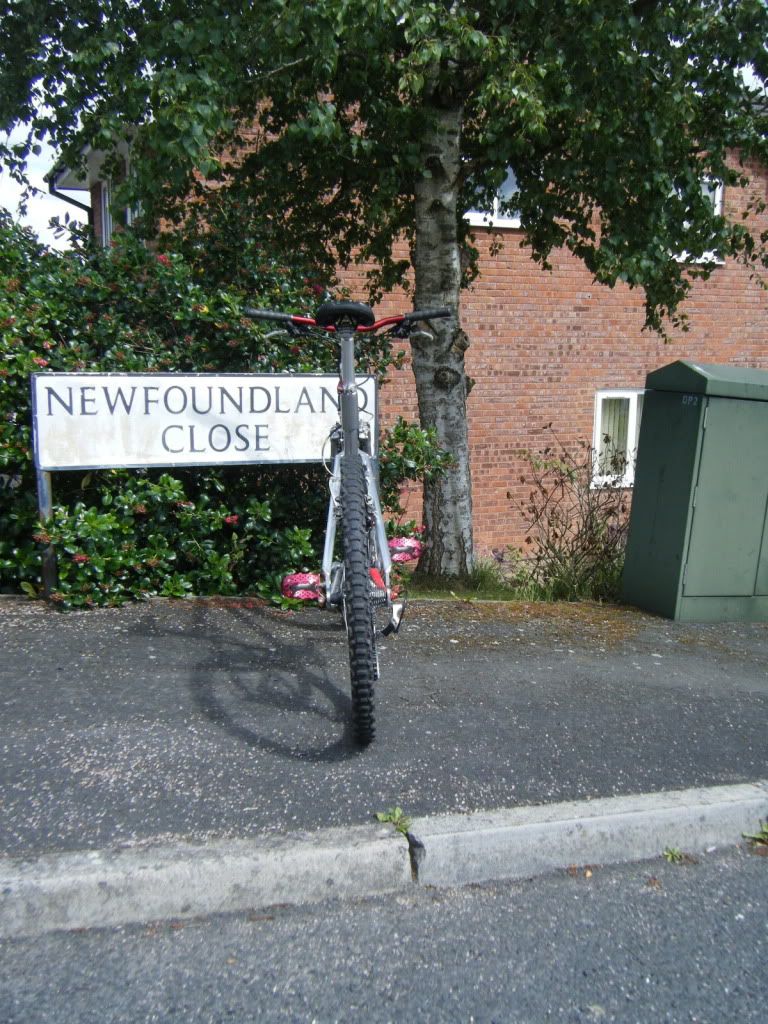 dscf3646.jpg